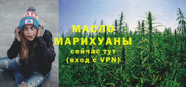 гидра Инсар