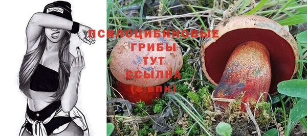 гидра Инсар