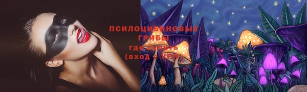 первитин Инта
