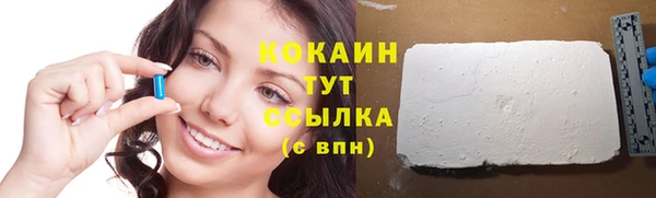 гидра Инсар