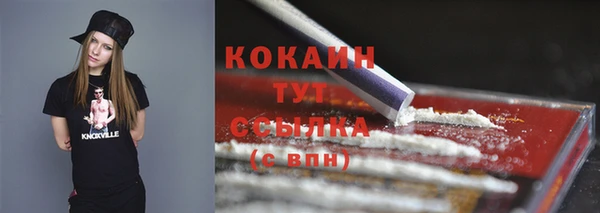 гидра Инсар