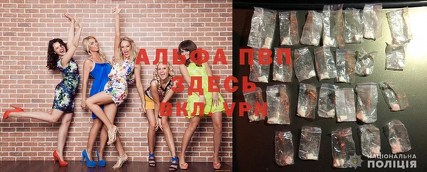 гидра Инсар