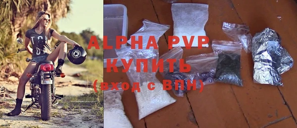 PSILOCYBIN Иннополис