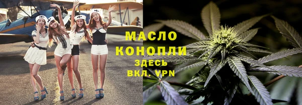 гидра Инсар