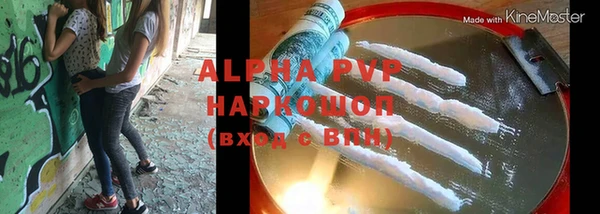 PSILOCYBIN Иннополис