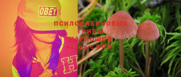 первитин Инта