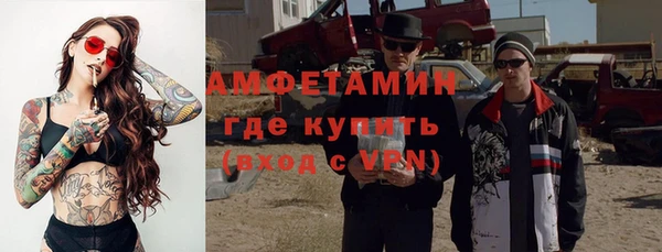 гидра Инсар