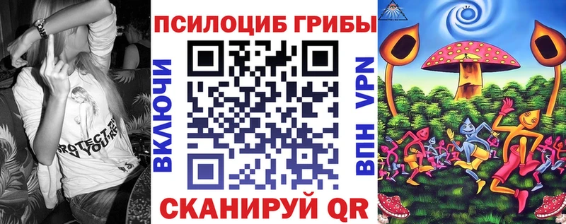 купить наркоту  Кандалакша  Псилоцибиновые грибы Cubensis 